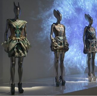 Collection Areas Image